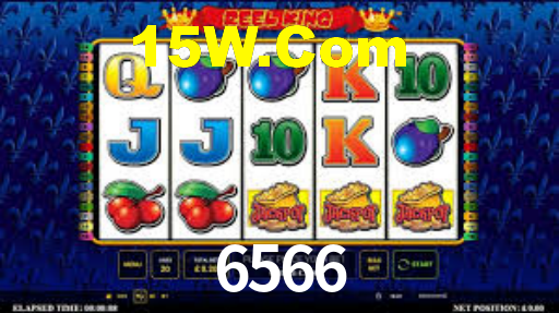 6566