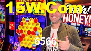 6566 App Interface