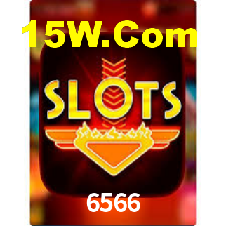 6566
